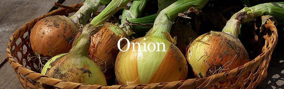 onion