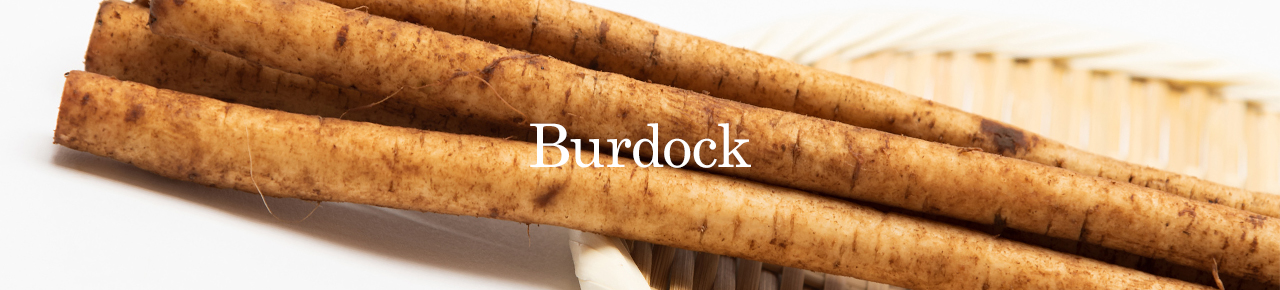 burdock