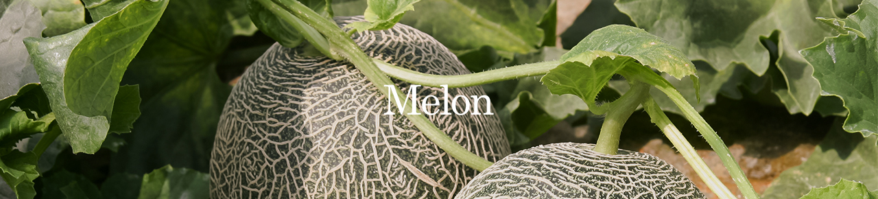 melon