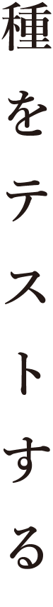 種をテストする