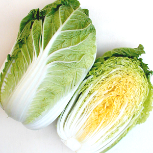 白菜