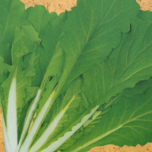 山東べか菜